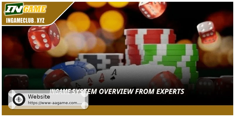 Expert review and overview of the AAGAME system
