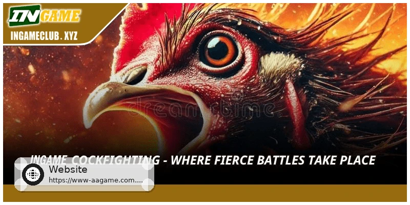 Live cockfighting betting matches at AAGAME