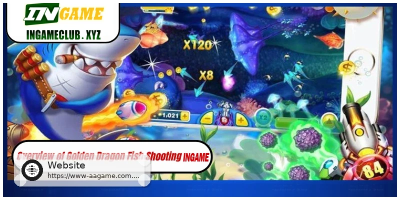 Golden Dragon Fish Shooting gameplay overview