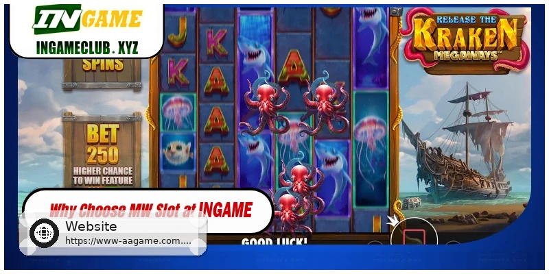 MW Slot FAQ and casino guide