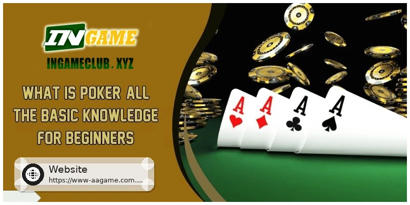 What is Poker All the Basic Knowledge for Beginners